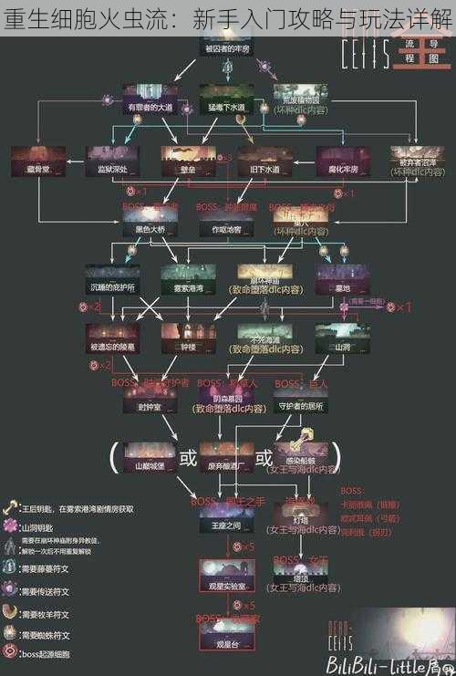重生细胞火虫流：新手入门攻略与玩法详解
